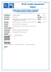 Certificat de qualité IECEx · Atex Delvalle