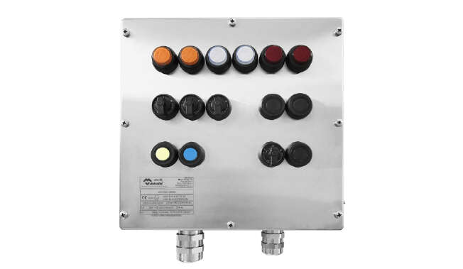 Cajas Atex de Control y Maniobra · Atex Delvalle