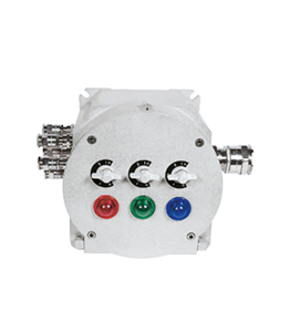 Atex Junction Box Zayed IP66 · Atex Delvalle