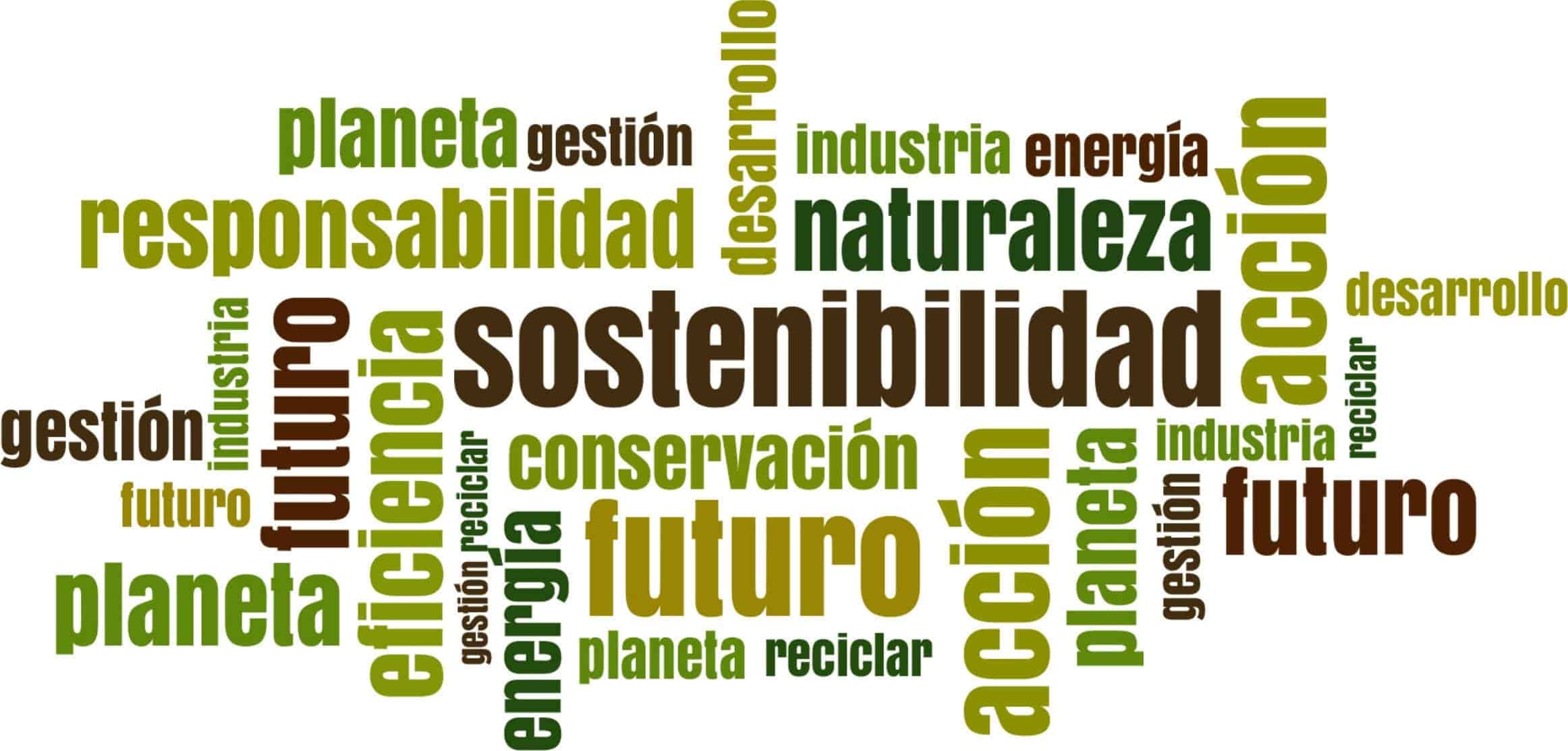 Nube de palabras relacionadas con sostenibilidad, energía y responsabilidad en la industria eléctric.